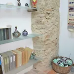 Sa Succargia Baunei